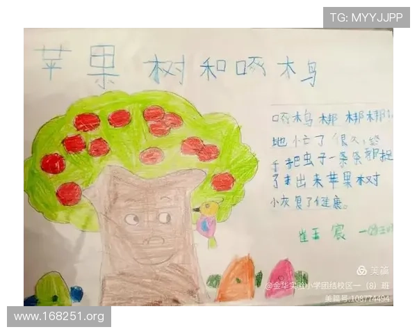 深入探索6768娱乐世界的精彩内容与无限乐趣
